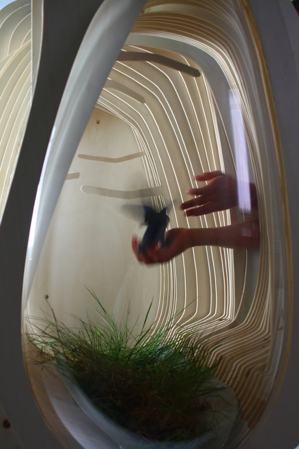 Kinetic-Cosmos-aquarium-cinétique-pour-oiseau-par-Benoît-Pernet-blog-espritdesign-6