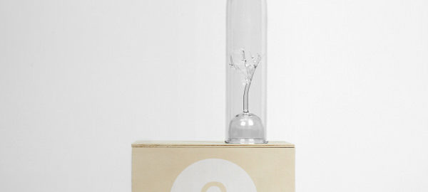 DesignerBox 6 magie du verre par Marianne Guedin