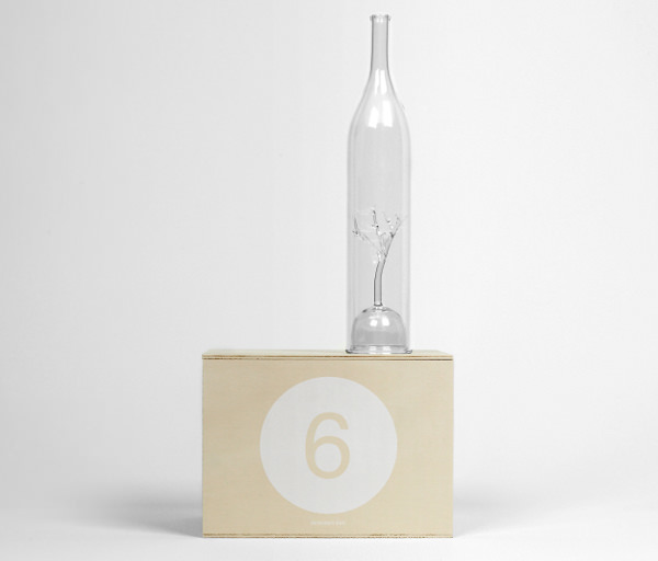 DesignerBox 6 magie du verre par Marianne Guedin