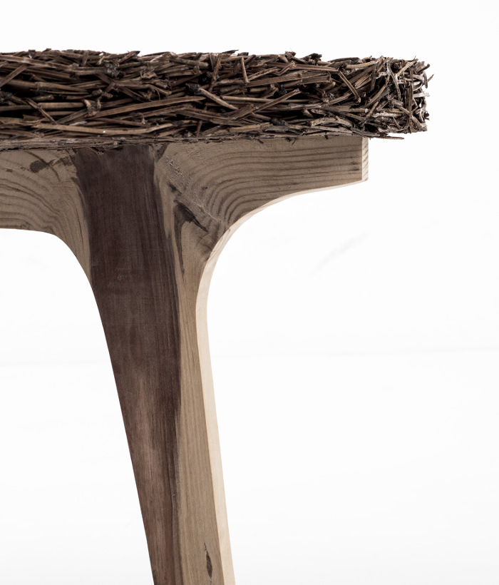Pine collection mobilier aiguilles de pin par Samuel Reis