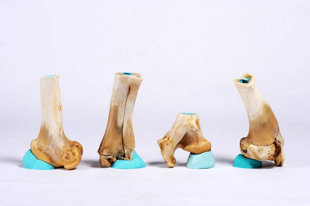 Prosthesis Contenants prothèses Os divers, résine acrylique, calles