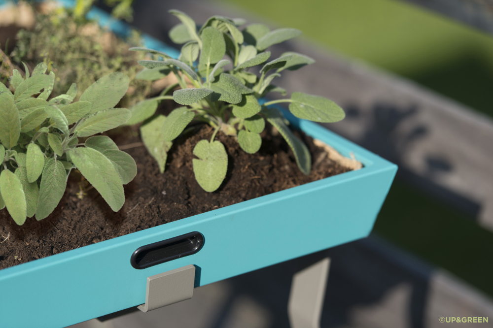 Crowdfunding : UP&GREEN réinvente le jardin d'intérieur