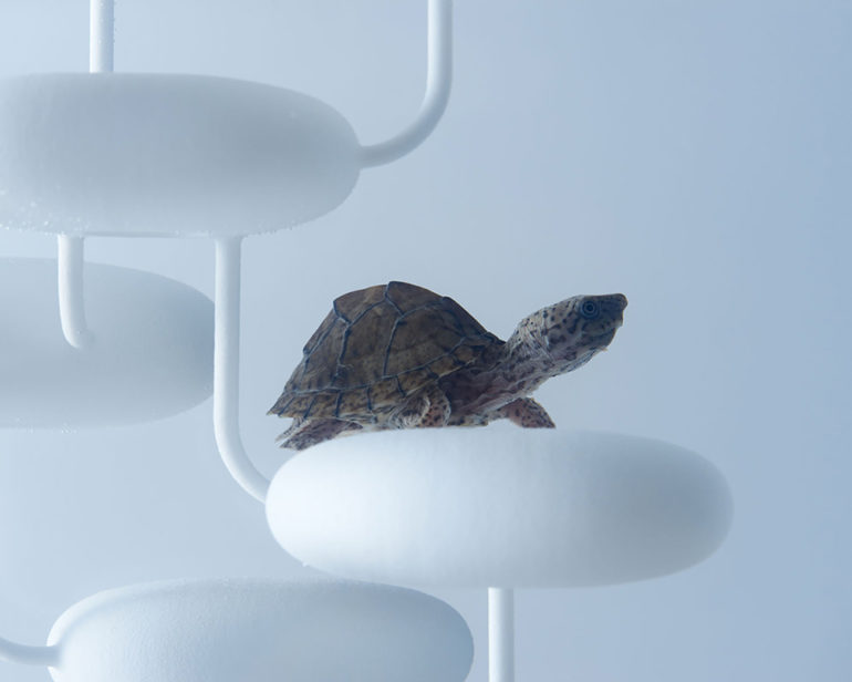 L'aquarium Waterscape de Haruka Misawa Blog Esprit Design