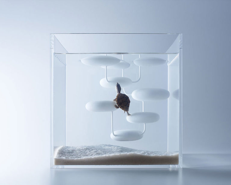 L'aquarium Waterscape de Haruka Misawa Blog Esprit Design