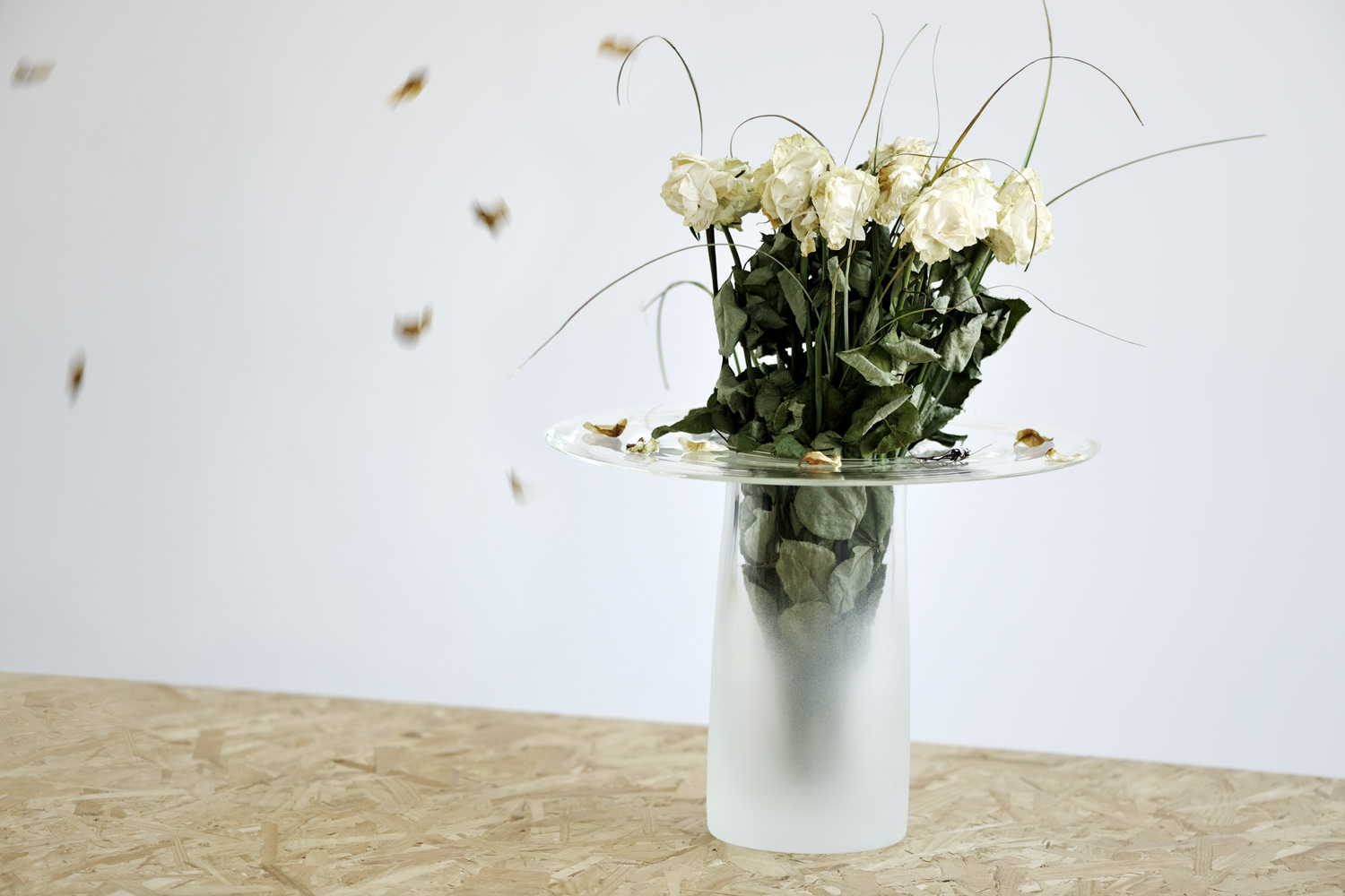 Vase Fall la fleur en valeur par Rémi Casado