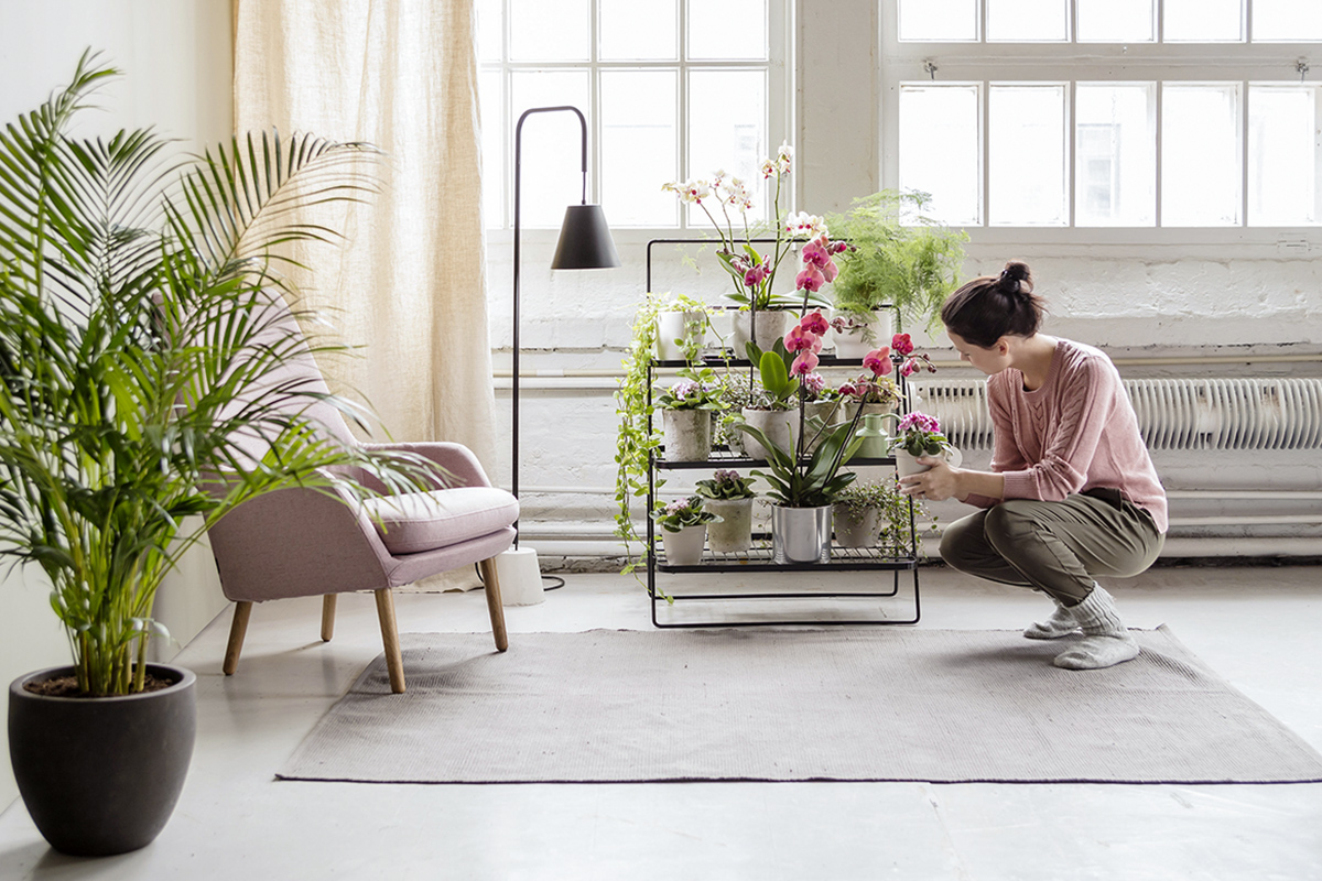 Pentagon Design présente une série versatile de mobilier dédié aux plantes pour Kekkilä