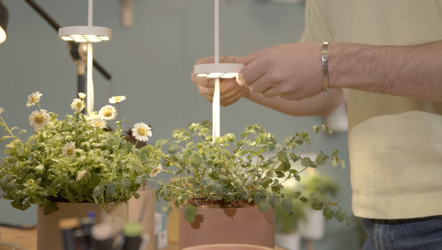 Crowdfunding : Prêt à Pousser revient avec son Nano Garden