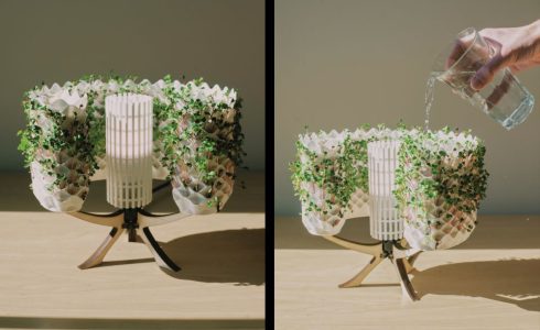 Une lampe de bureau qui fait pousser vos végétaux