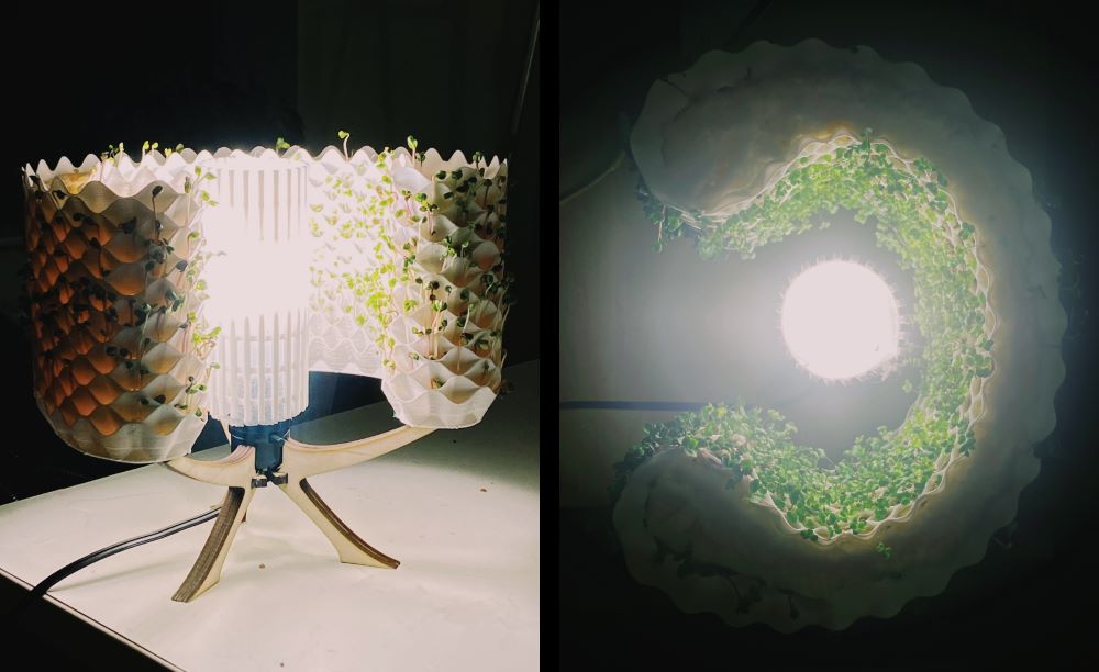 Une lampe de bureau qui fait pousser vos vegetaux