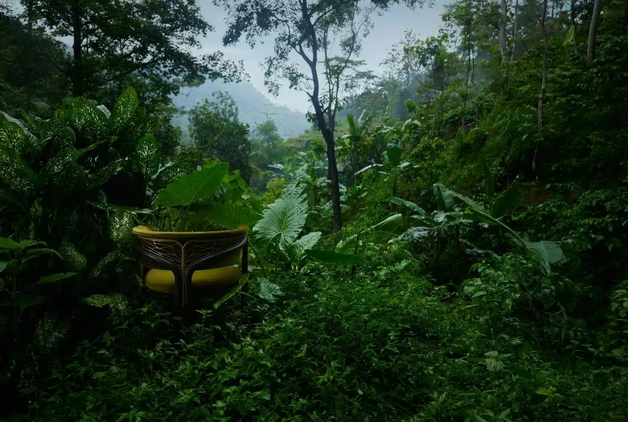MORPHO : Tomorrowland réenchante le monde de l'outdoor grâce à Great Library Design et Ethnicraft - interview de Dieter Vander Velpen