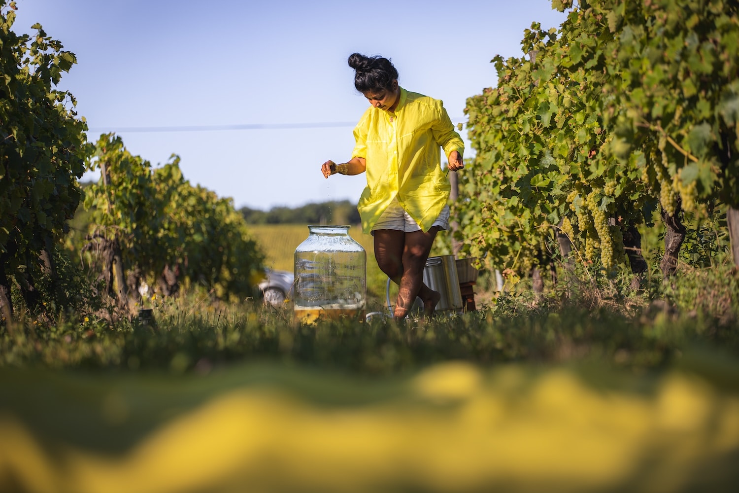 Teintures naturelles au cœur du cognac, un dialogue entre la terre, l’artisanat et le temps.