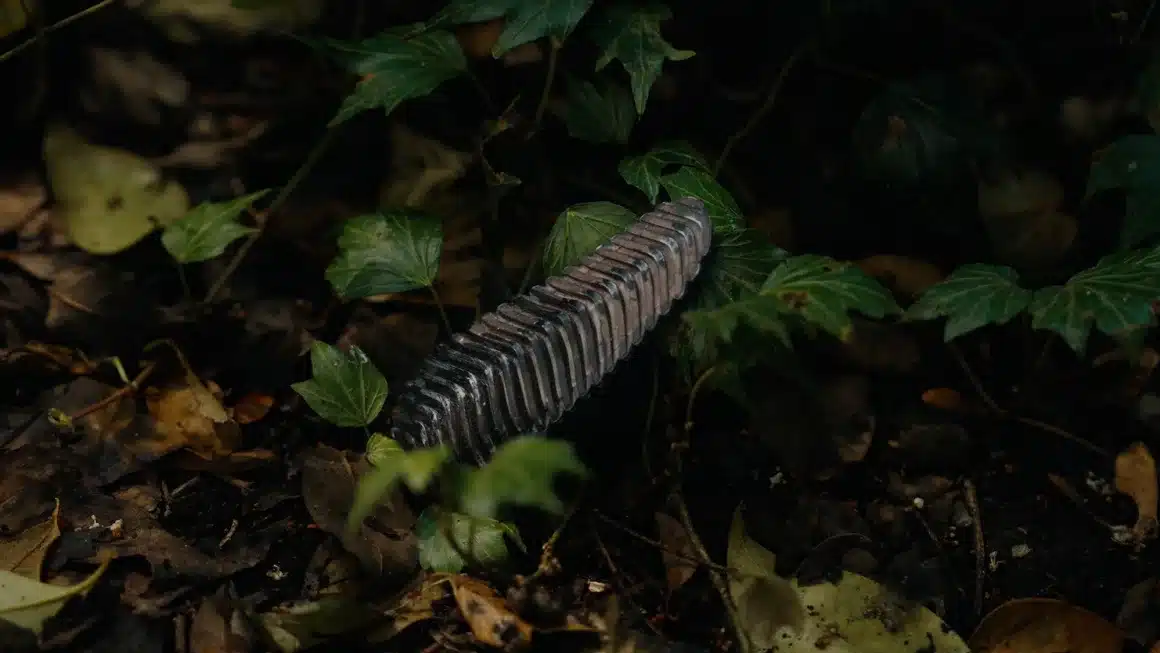 Pyri : quand design et biomimétisme inventent la pomme de pin high-tech