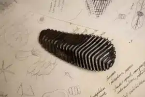 Pyri : quand design et biomimétisme inventent la pomme de pin high-tech