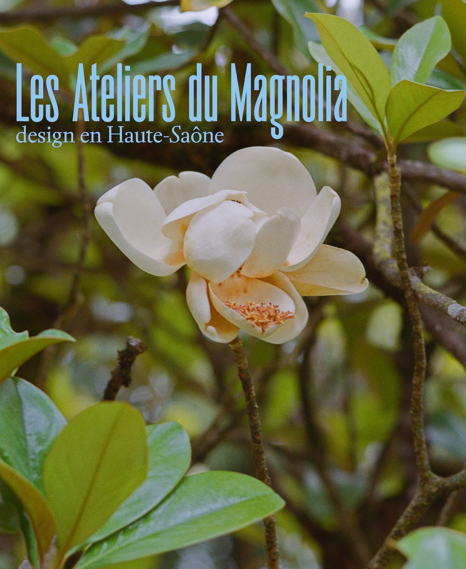 Les Ateliers du Magnolia 2025 : une résidence où le design s’enracine dans la pierre