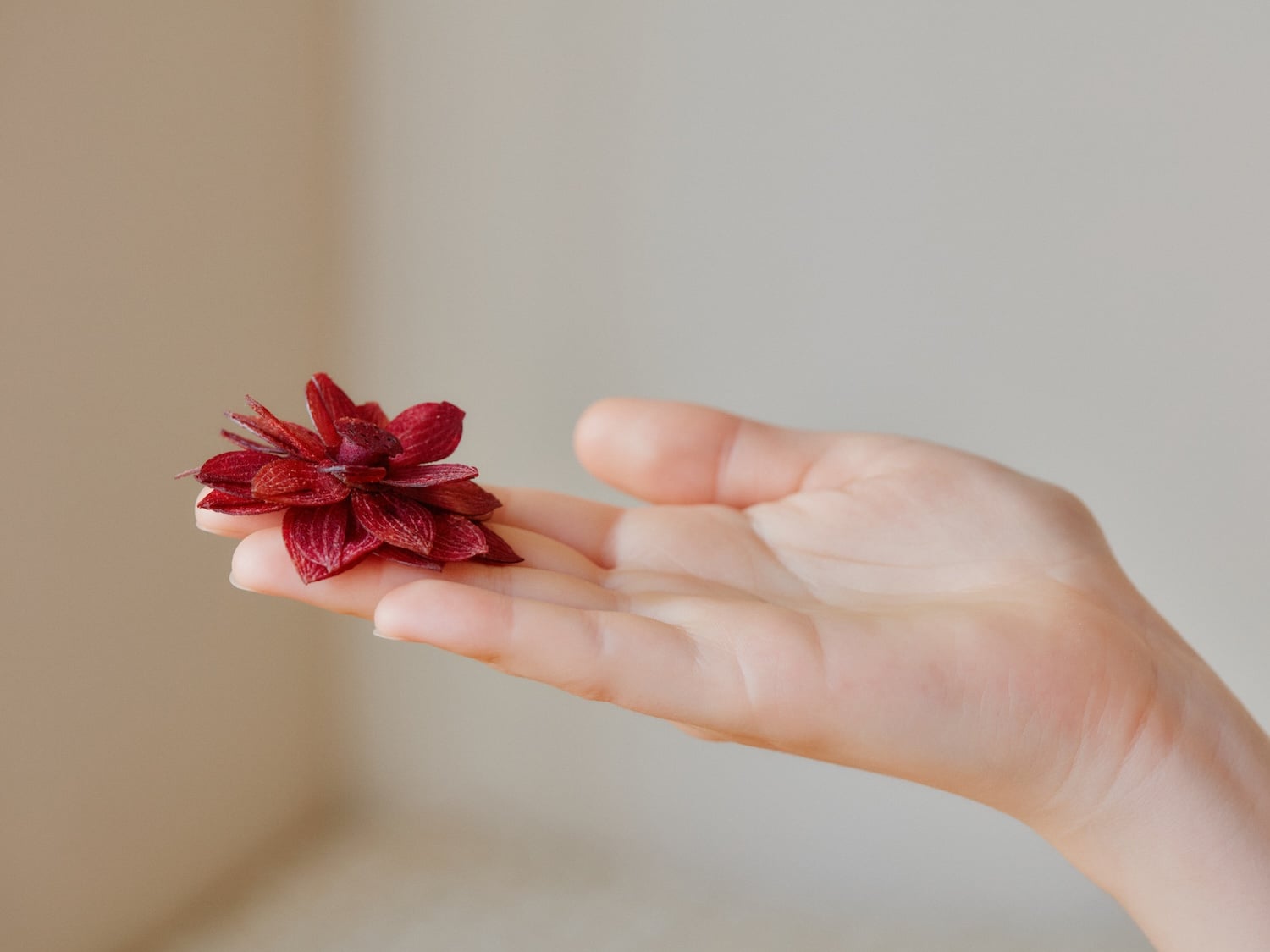 YÜSSÉE : quand le design culinaire devient rituel sensoriel