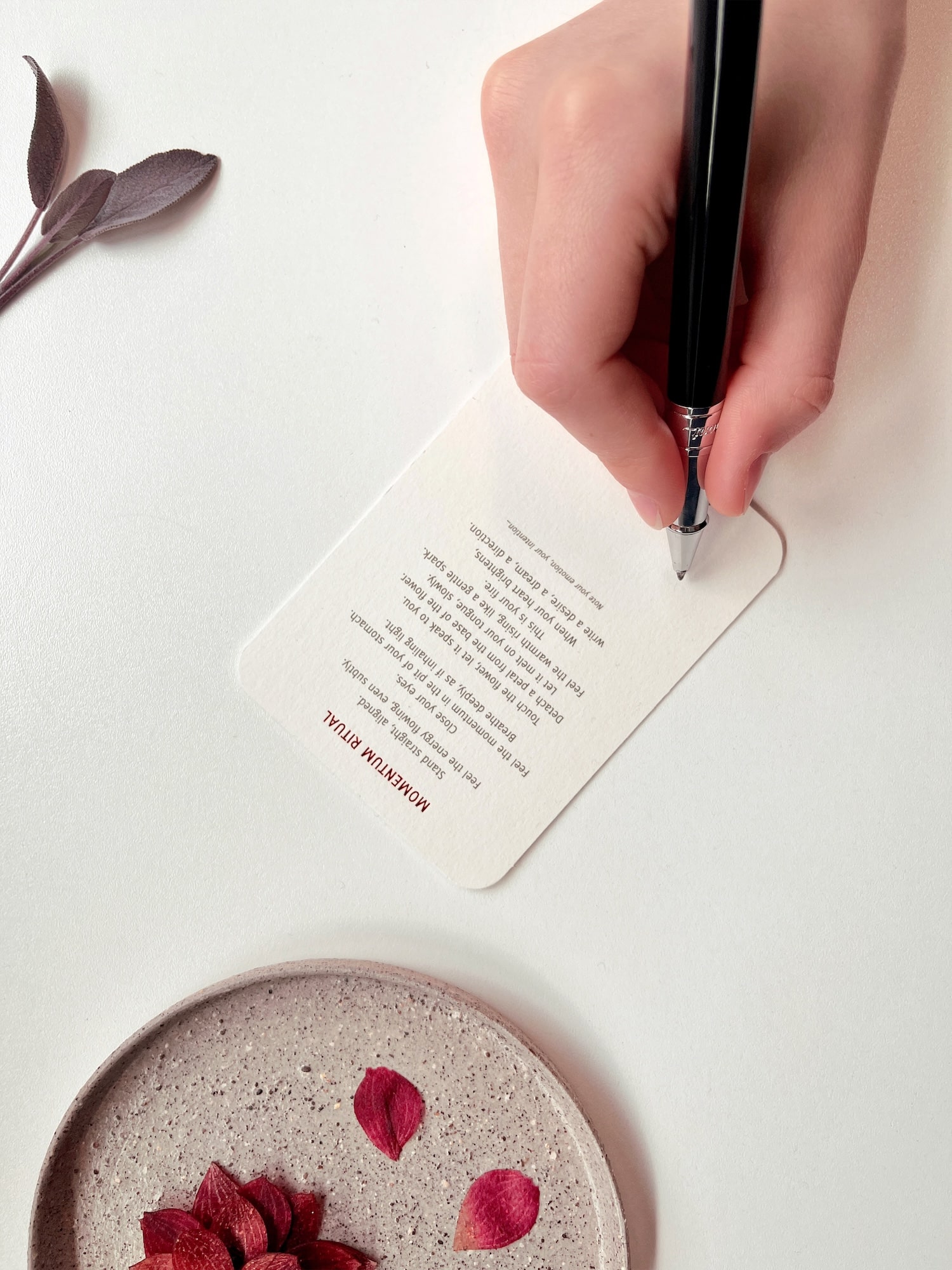 YÜSSÉE : quand le design culinaire devient rituel sensoriel