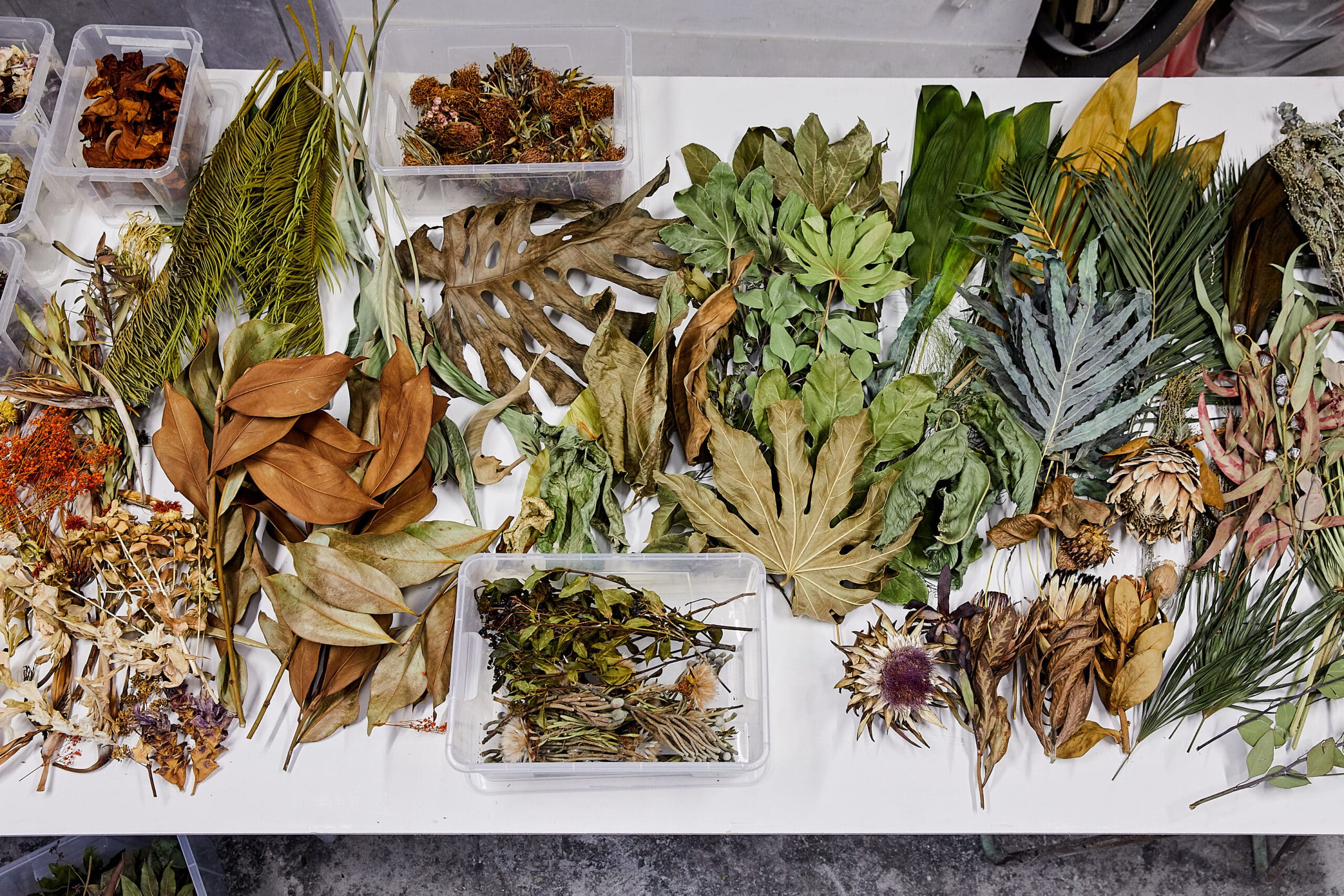 Flora Lamp II par Marcin Rusak : la fleur figée dans la lumière