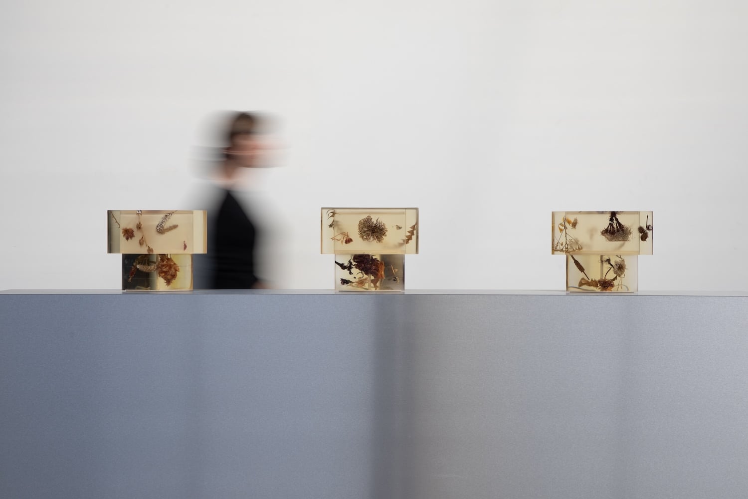 Flora Lamp II par Marcin Rusak : la fleur figée dans la lumière