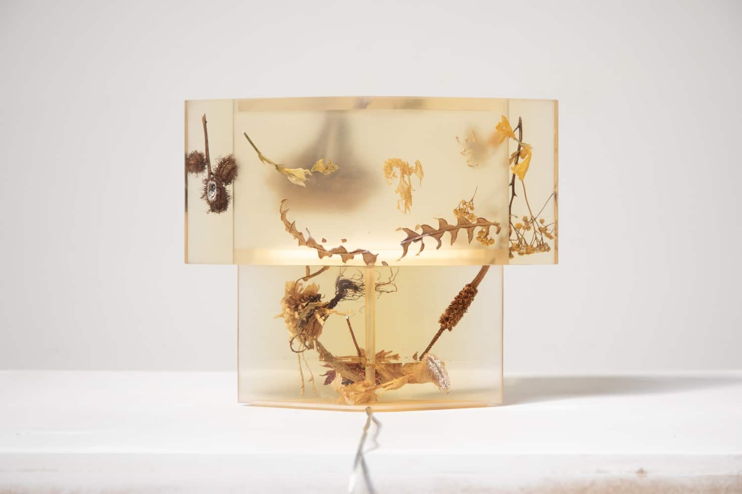 Flora Lamp II par Marcin Rusak : la fleur figée dans la lumière