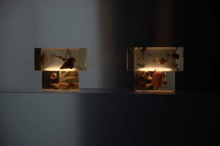 Flora Lamp II par Marcin Rusak : la fleur figée dans la lumière