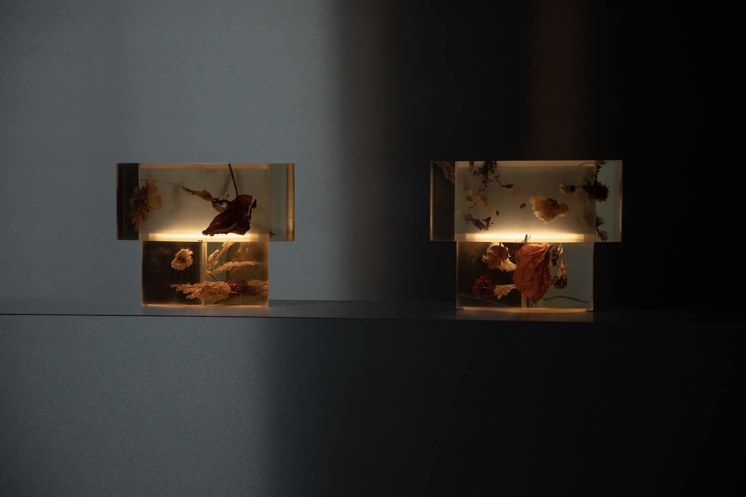 Flora Lamp II par Marcin Rusak : la fleur figée dans la lumière