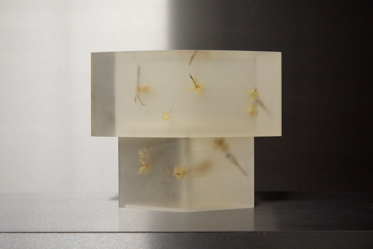 Flora Lamp II par Marcin Rusak : la fleur figée dans la lumière