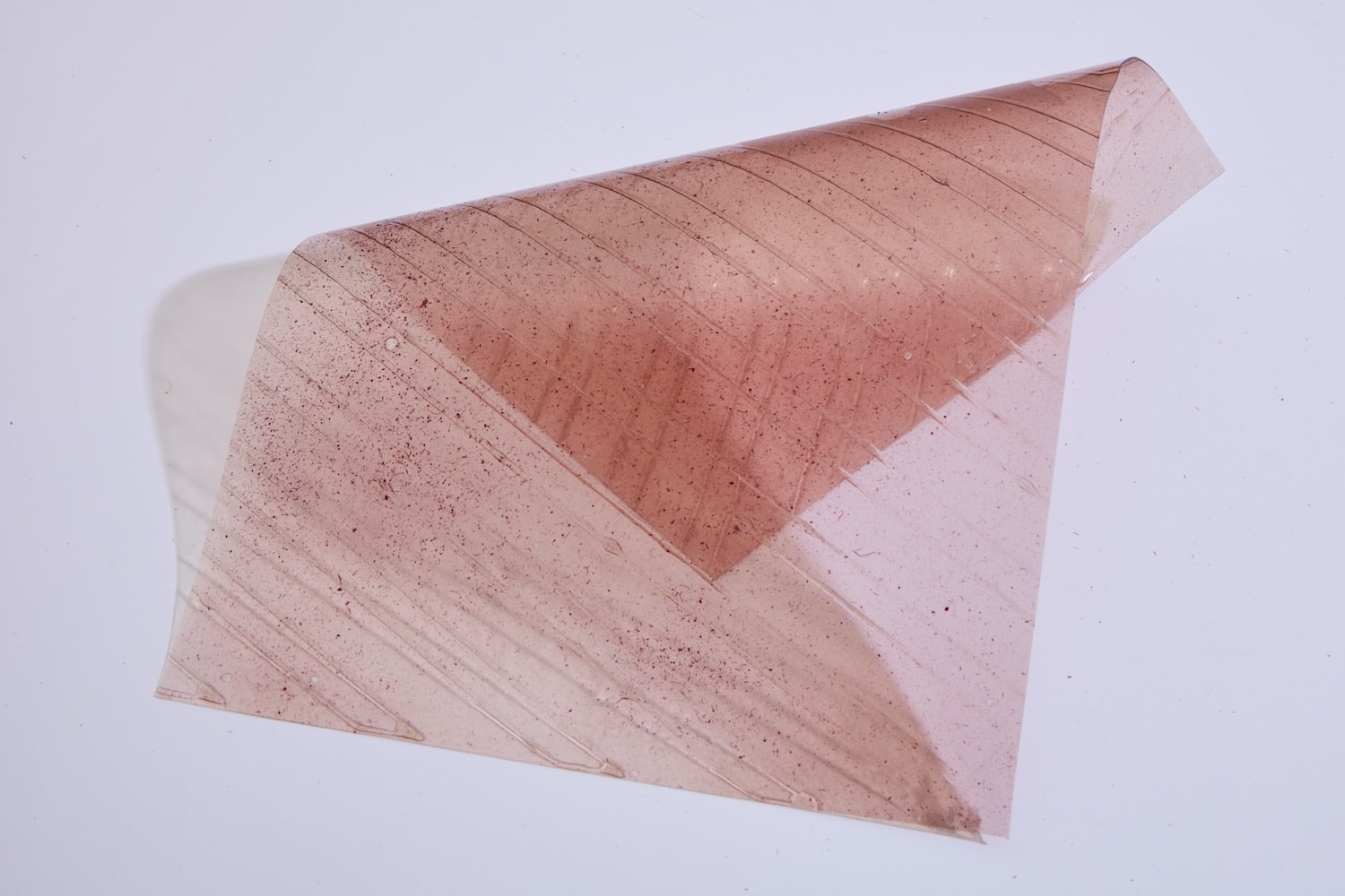 Byssus : quand les déchets mytilicoles deviennent biomatériaux lumineux chez hors-studio Byssus : quand les déchets mytilicoles deviennent biomatériaux lumineux chez hors-studio