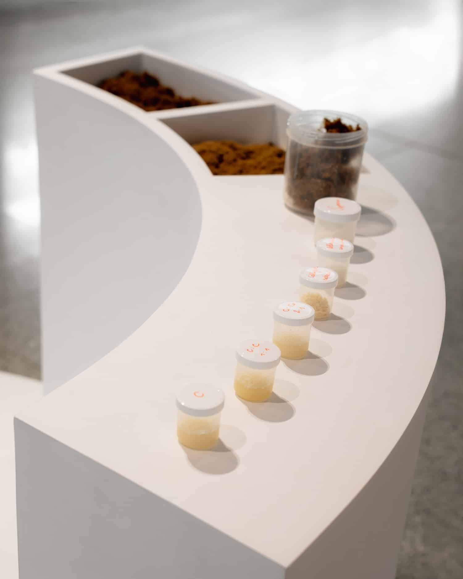 Byssus : quand les déchets mytilicoles deviennent biomatériaux lumineux chez hors-studio Byssus : quand les déchets mytilicoles deviennent biomatériaux lumineux chez hors-studio