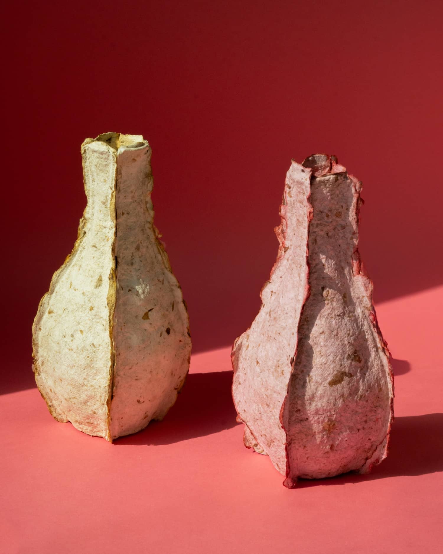 Petal Vase : Rebloom Studio transforme les fleurs invendues du marché en vases biodégradables Petal Vase : Rebloom Studio transforme les fleurs invendues du marché en vases biodégradables