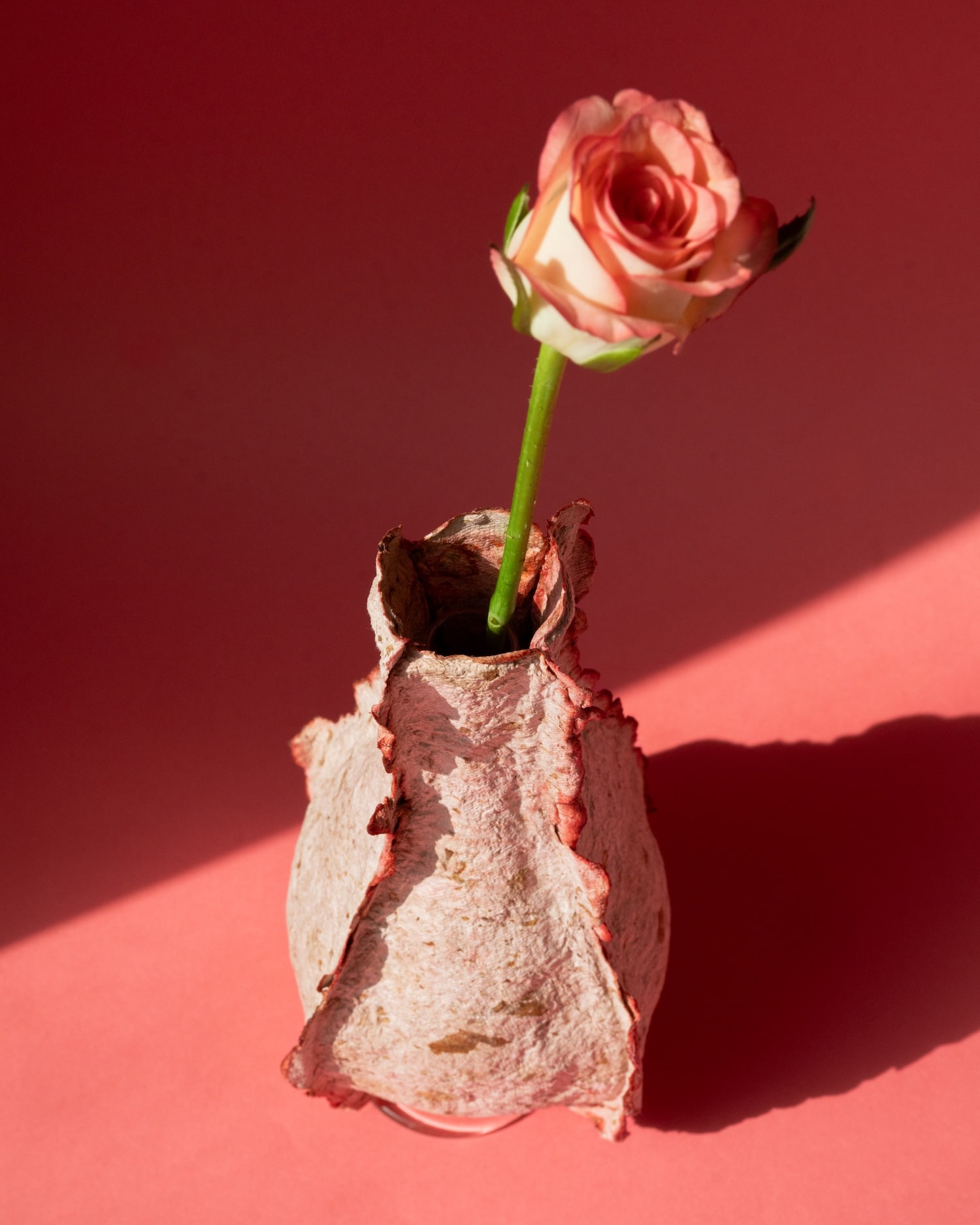 Petal Vase : Rebloom Studio transforme les fleurs invendues du marché en vases biodégradables
