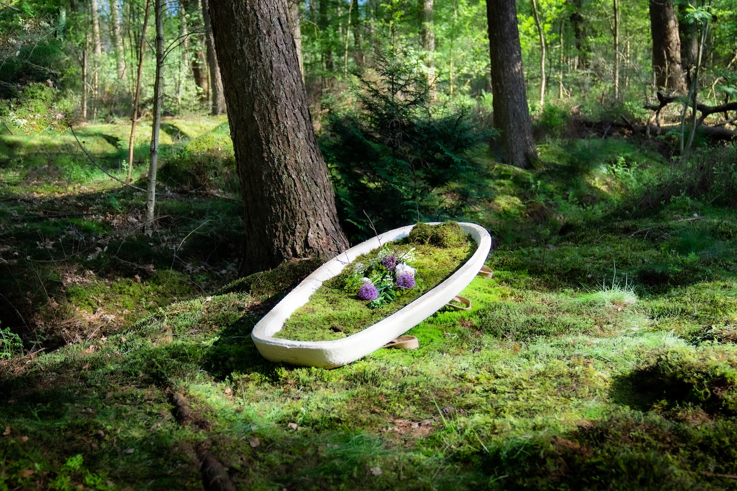 Loop Living Cocoon : le cercueil en mycélium qui pousse en sept jours et retourne à la terre en 45