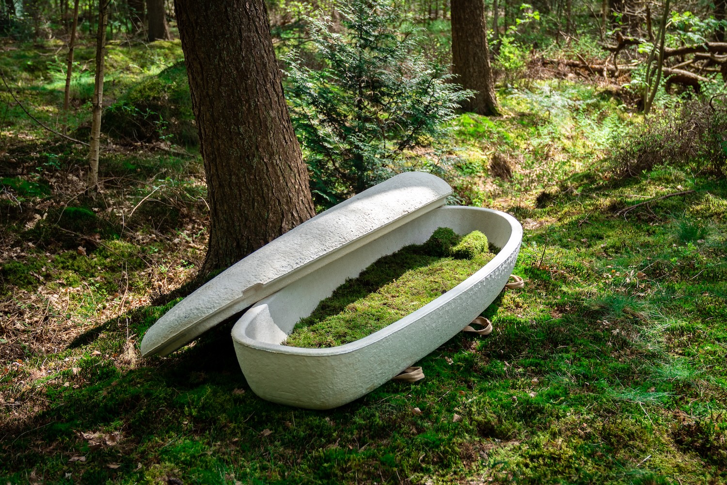 Loop Living Cocoon : le cercueil en mycélium qui pousse en sept jours et retourne à la terre en 45 Loop Living Cocoon : le cercueil en mycélium qui pousse en sept jours et retourne à la terre en 45