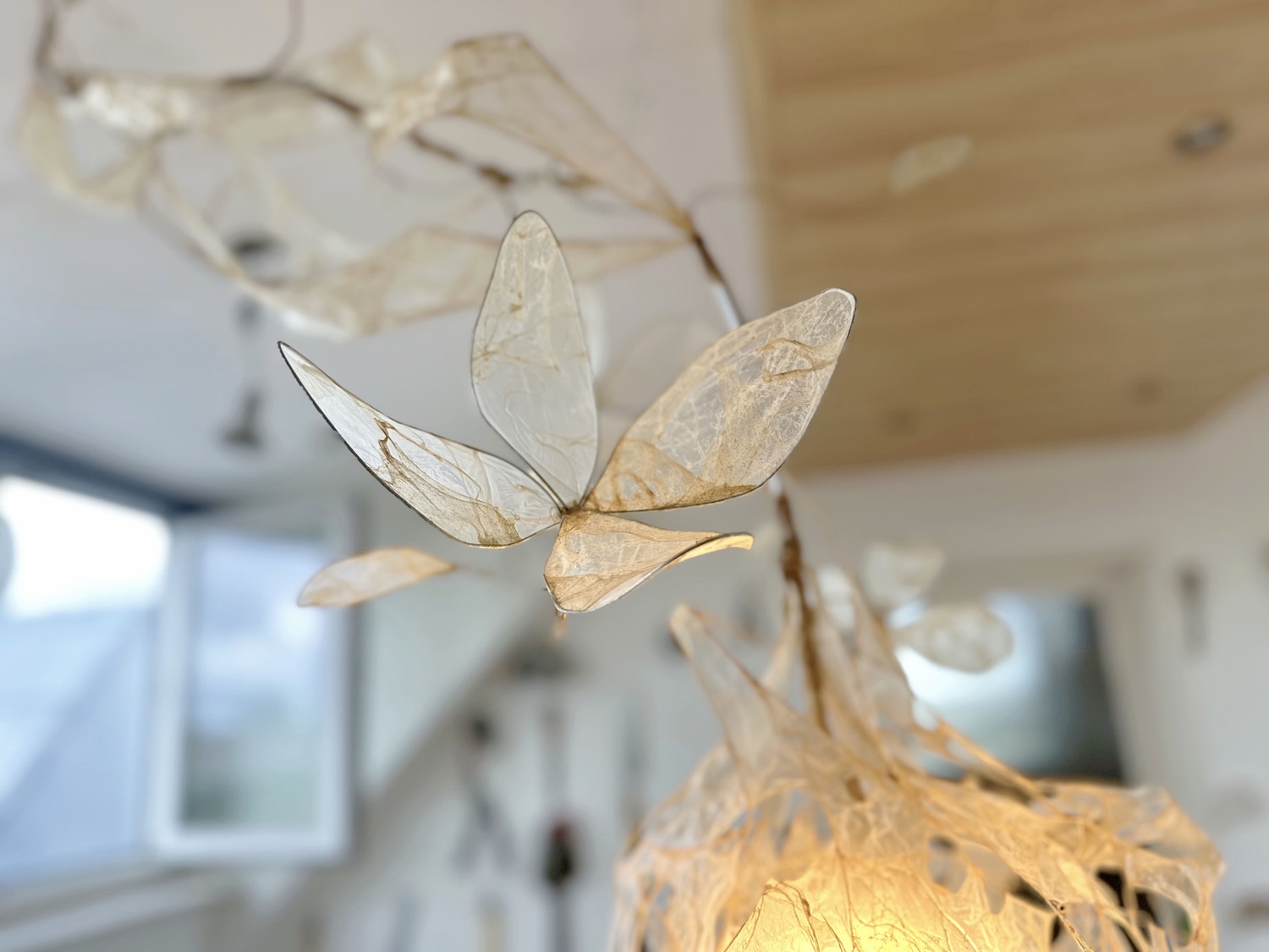 Fleur première : Thibault Philip fait fleurir des boyaux sur une structure en aluminium